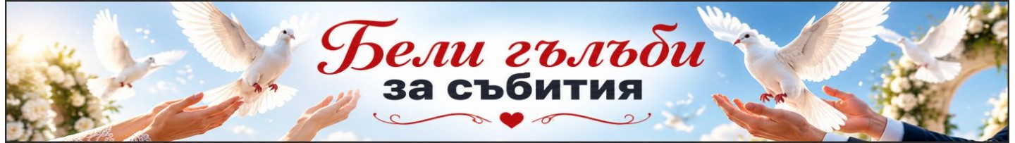 Бели гълъби за събития и тържества под наем